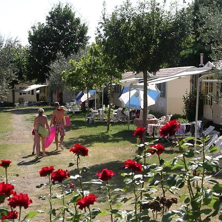 Blu International Camping 볼세나 외부 사진