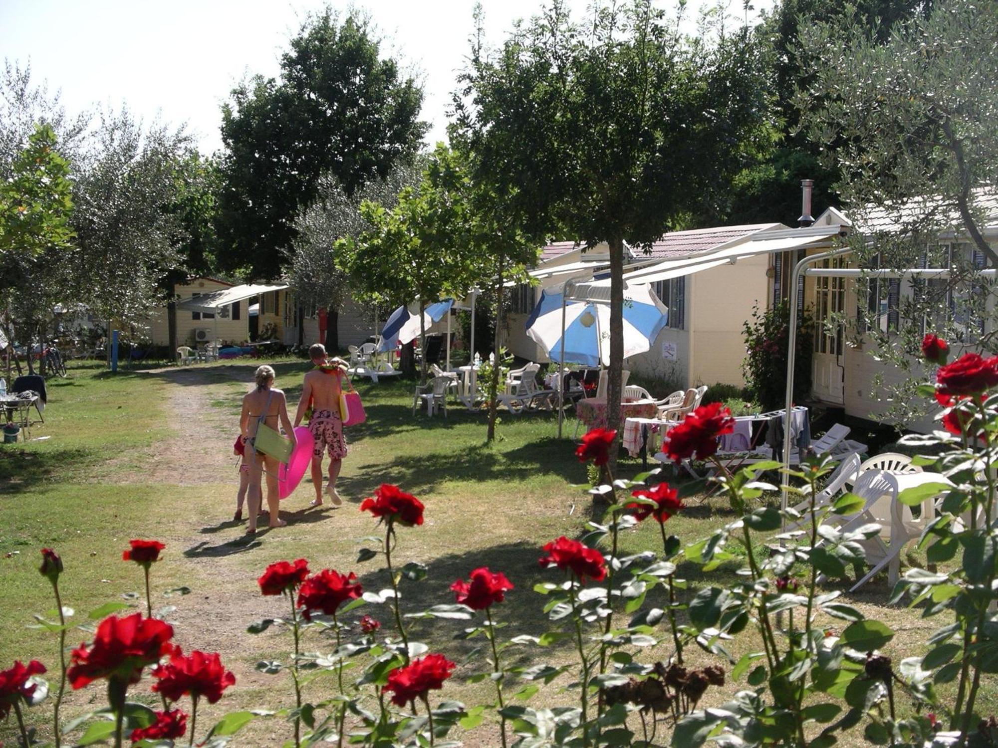 Blu International Camping 볼세나 외부 사진
